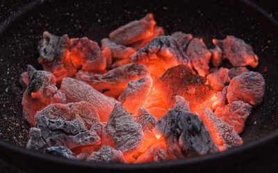 زعال بامبو چینی ققنوس